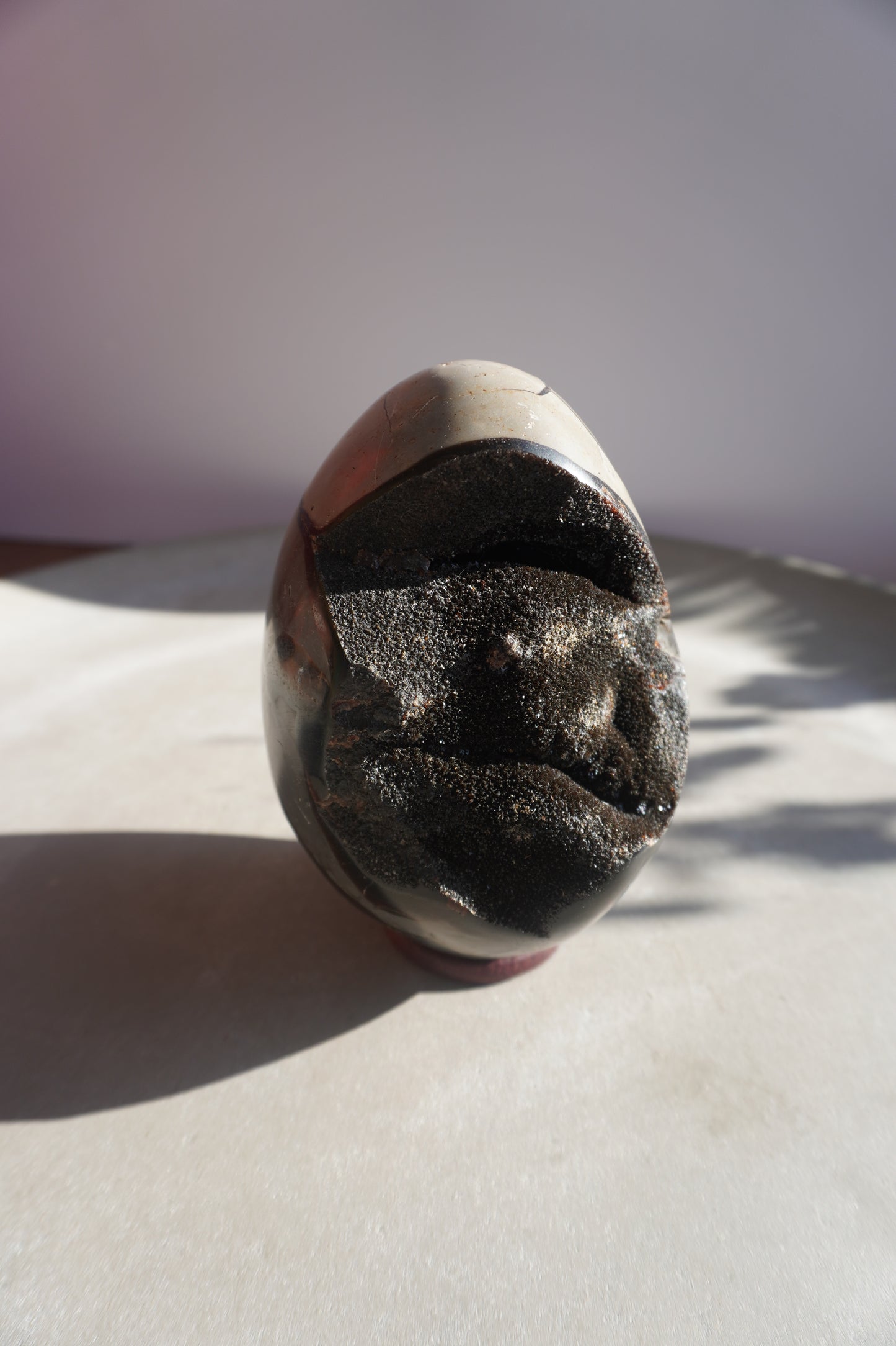 Dragonegg septarisches Drachenei