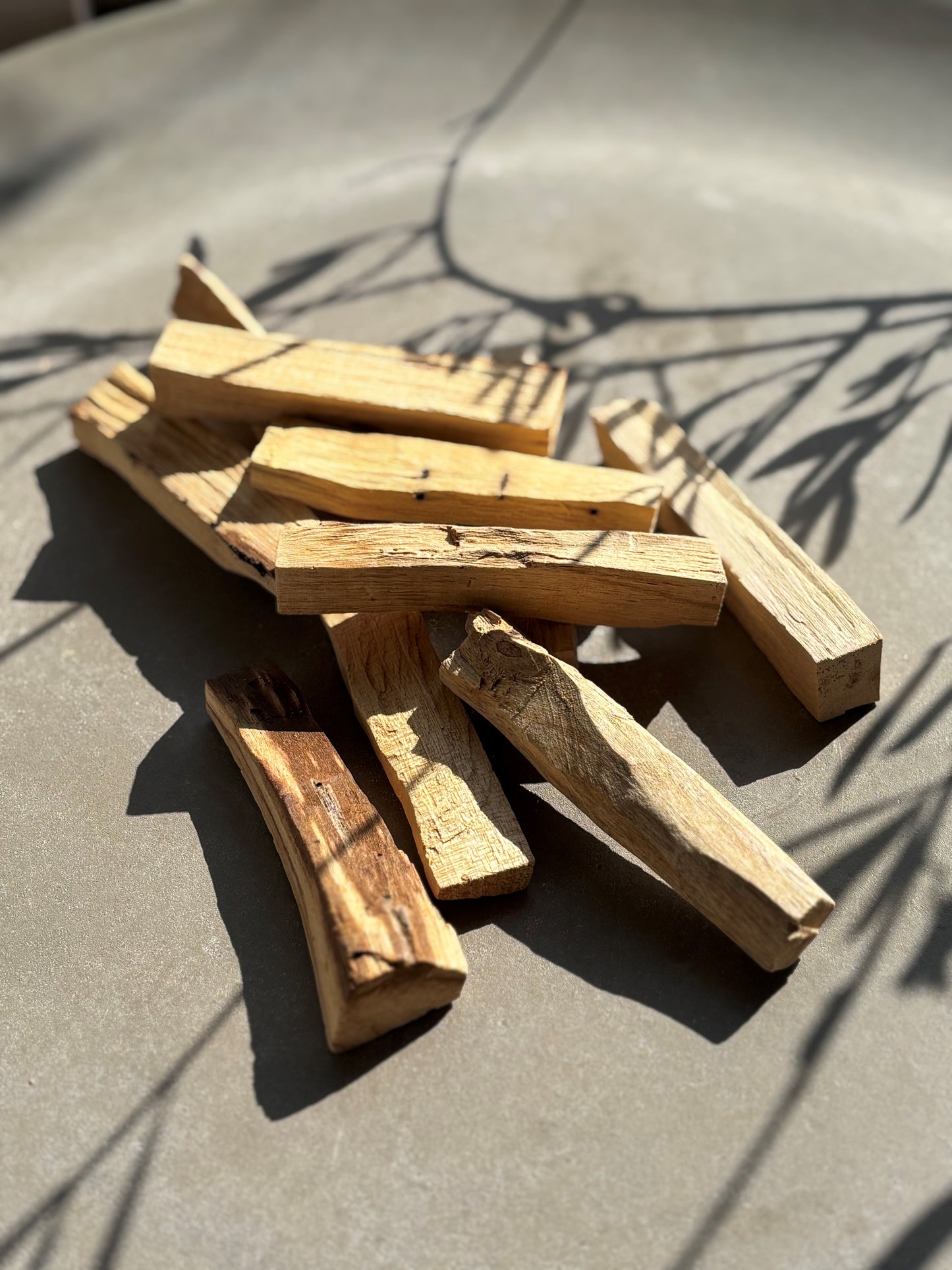 Palo Santo "Heiliges Holz"